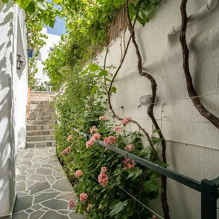 Comfort Double Or Twin Or Semi-basement 3*