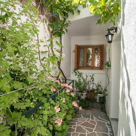 Comfort Double Or Twin Or Semi-basement Gæstehus Páros