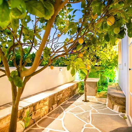 Comfort Double Or Twin Or Semi-basement